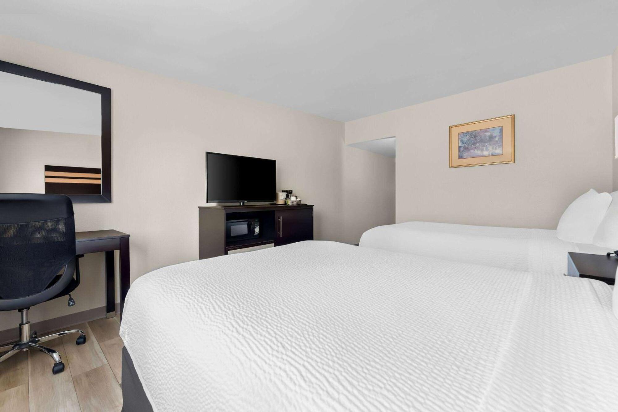 Days Inn By Wyndham Albany Suny מראה חיצוני תמונה